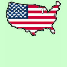 American Map Flag T-Shirt