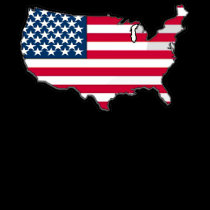 TBA AWARD WINNER American Map Flag