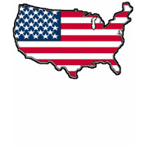 TBA AWARD WINNER American Map Flag t-shirts