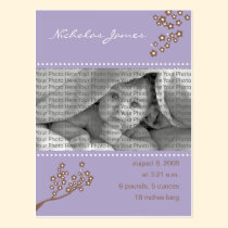 {TBA} Baby Birth Announcement Purple Branch postcards