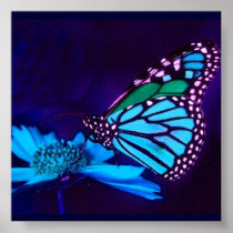 - TBA - Butterfly in Blue Light Poster