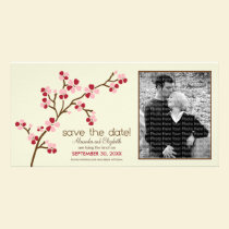 {TBA} Red/Ivory Cherry Blossom Save the Date photo cards