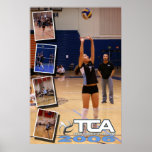 TCA 2006 Montage V2 - Brittany posters