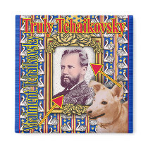 TCHAIKOVSK magnets
