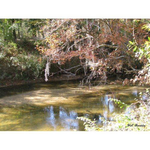 Tchefuncte Autumn print