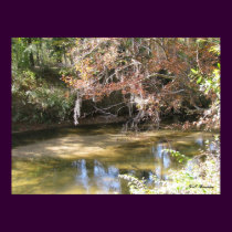 Tchefuncte Autumn posters by naturegirl7 Tchefuncte Autumn posters