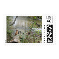 Tchefuncte Solitude stamp