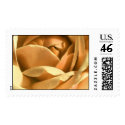 TDSwhite An Unfolding Beauty Wedding Stamp by TDSwhite TDSwhite An Unfolding Beauty Wedding Stamp