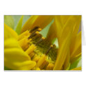 Te amo cards by caritojames Te amo cards