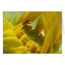 Te amo cards by caritojames Te amo cards
