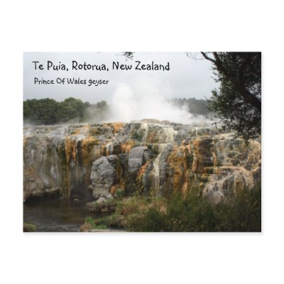 Te Puia, Rotorua, New Zealand Postcard by crispyking