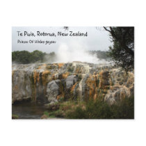 Te Puia, Rotorua, New Zealand postcards by crispyking Te Puia, Rotorua, New Zealand postcards