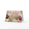 "Te Quiero" cards
