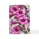 pink flower card valintines day spanish, floral,