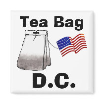 Tea Bag, D.C. magnets