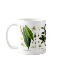 Tea,coffee,cocoa mugs