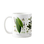 Tea,coffee,cocoa mugs