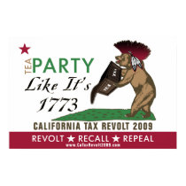 Tea Party Like It's 1773 Poster posters