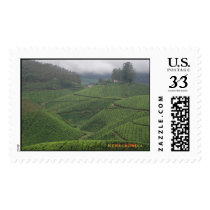 Tea Plantations, Munnar postage
