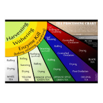 Tea Ray Processing Chart Poster
