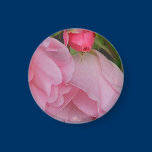 Tea Rose Magnet magnets
