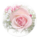 Tea Rose Stickers by carrollgraphix Tea Rose Stickers