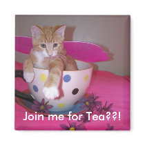 Tea time magnets