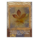 Teach cards by DevaRay Teach cards