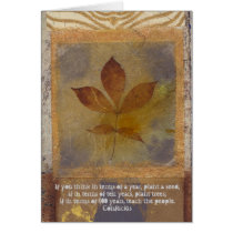 Teach cards