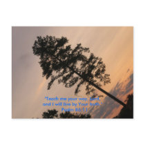 "Teach me your way, Lord,and I will l... postcards by MOMKAY "Teach me your way, Lord,and I will l... postcards