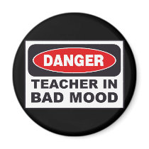 Teacher Magnet by Regella Teacher Magnet