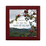 Teacher, you are the apple of my eye! gift boxes