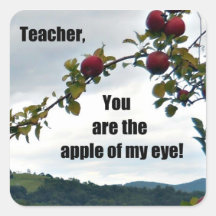 Teacher, you are the apple of my eye! square stickers