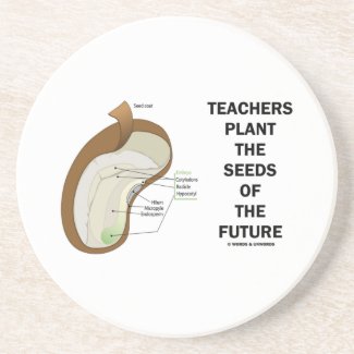 Teachers Plant The Seeds Of The Future (Bean Seed) Drink Coaster