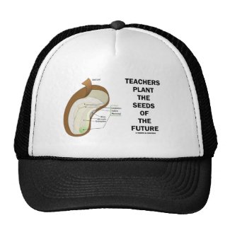 Teachers Plant The Seeds Of The Future (Bean Seed) Trucker Hat
