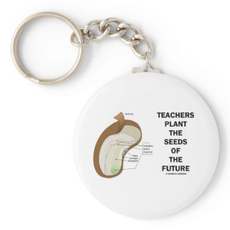 Teachers Plant The Seeds Of The Future (Bean Seed) Key Chains