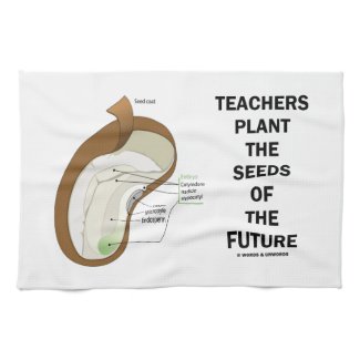 Teachers Plant The Seeds Of The Future (Bean Seed) Kitchen Towel