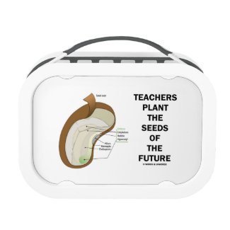Teachers Plant The Seeds Of The Future (Bean Seed) Yubo Lunch Boxes