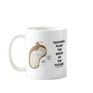 Teachers Plant The Seeds Of The Future (Bean Seed) mug