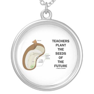Teachers Plant The Seeds Of The Future (Bean Seed) Necklaces
