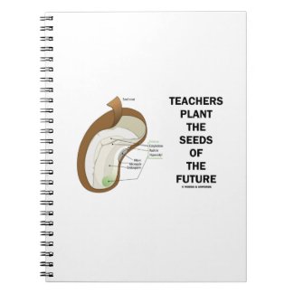 Teachers Plant The Seeds Of The Future (Bean Seed) Note Book