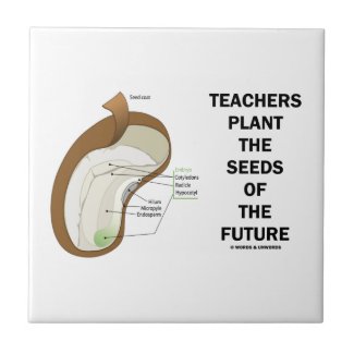 Teachers Plant The Seeds Of The Future (Bean Seed) Tile