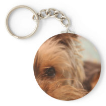teacup yorkie puppy keychain
