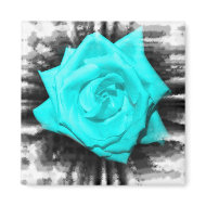 Teal aqua coloured rose, jagged black back magnet