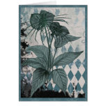 Teal Bat Plant Botanical Card