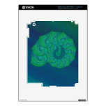 Teal, blue and green shell graphic. decal for iPad 3