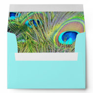 Teal Blue Gold Real Peacock Feathers Envelope envelope