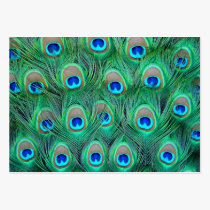 Teal Blue Peacock Business Cards business cards