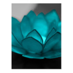 Teal Lotus Postcard