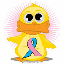 Teal & Pink Ribbon Duck Photo Sculpture